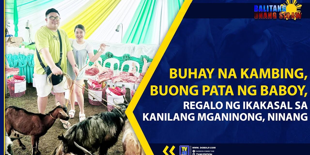 BUHAY NA KAMBING, PATA NG BABOY, REGALO NG IKAKASAL SA KANILANG MGA NINONG, NINANG