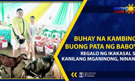 BUHAY NA KAMBING, PATA NG BABOY, REGALO NG IKAKASAL SA KANILANG MGA NINONG, NINANG
