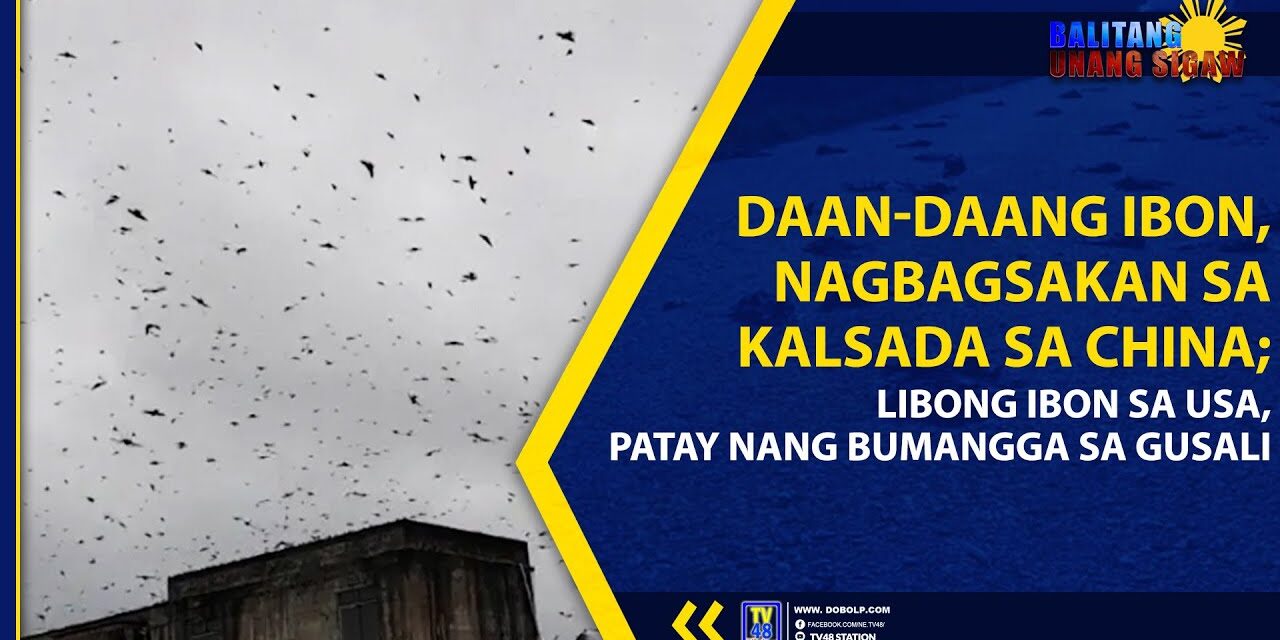 DAAN-DAANG IBON, NAGBAGSAKAN SA KALSADA SA CHINA; LIBONG IBON SA USA, PATAY NANG BUMANGGA SA GUSALI