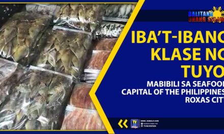 IBA’T-IBANG KLASE NG TUYO, MABIBILI SA SEAFOODS CAPITAL OF THE PHILIPPINES, ROXAS CITY
