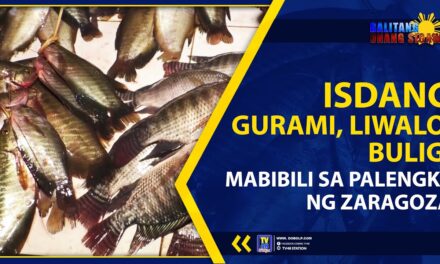 ISDANG GURAMI, LIWALO, BULIG, MABIBILI SA PALENGKE NG ZARAGOZA