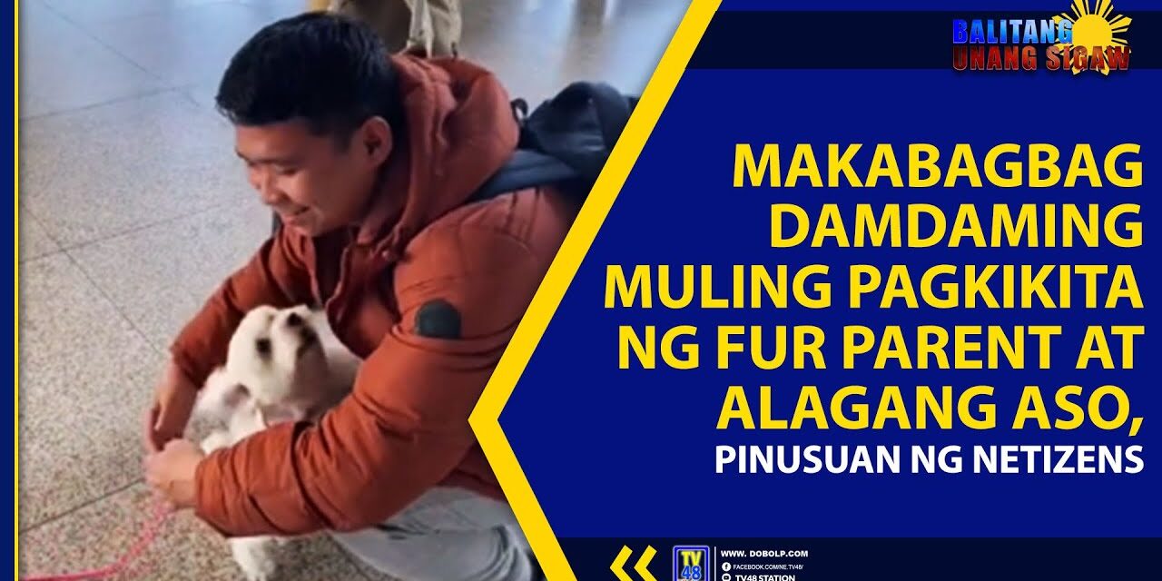 MAKABAGBAG DAMDAMING MULING PAGKIKITA NG FUR PARENT AT ALAGANG ASO, PINUSUAN NG NETIZENS