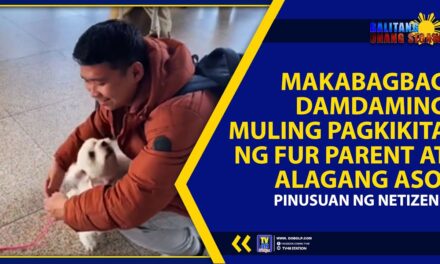 MAKABAGBAG DAMDAMING MULING PAGKIKITA NG FUR PARENT AT ALAGANG ASO, PINUSUAN NG NETIZENS