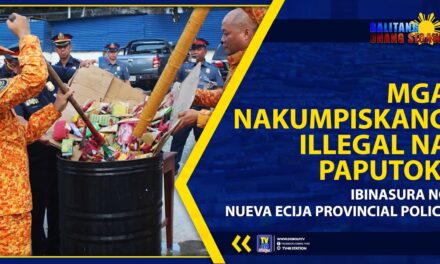 MGA NAKUMPISKANG ILLEGAL NA PAPUTOK, IBINASURA NG NUEVA ECIJA PROVINCIAL POLICE