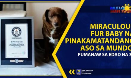 MIRACULOUS FUR BABY NA PINAKAMATANDANG ASO SA MUNDO, PUMANAW SA EDAD NA 31