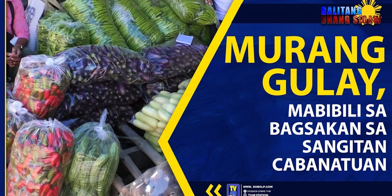 MURANG GULAY, MABIBILI SA BAGSAKAN SA SANGITAN CABANATUAN
