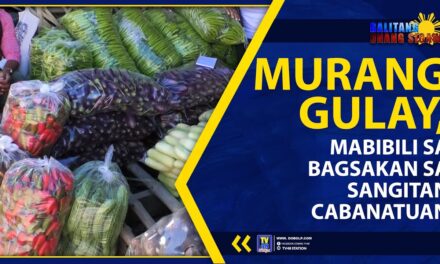 MURANG GULAY, MABIBILI SA BAGSAKAN SA SANGITAN CABANATUAN