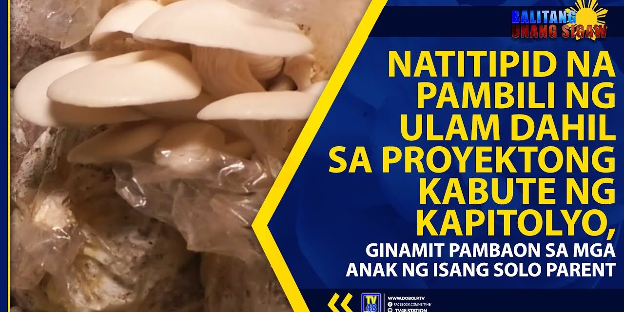 NATITIPID NA PAMBILI NG ULAM DAHIL SA PROYEKTONG KABUTE NG KAPITOLYO, GINAMIT PAMBAON SA MGA ANAK NG ISANG SOLO PARENT