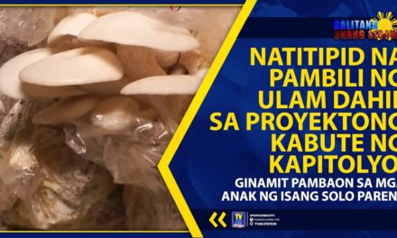 NATITIPID NA PAMBILI NG ULAM DAHIL SA PROYEKTONG KABUTE NG KAPITOLYO, GINAMIT PAMBAON SA MGA ANAK NG ISANG SOLO PARENT