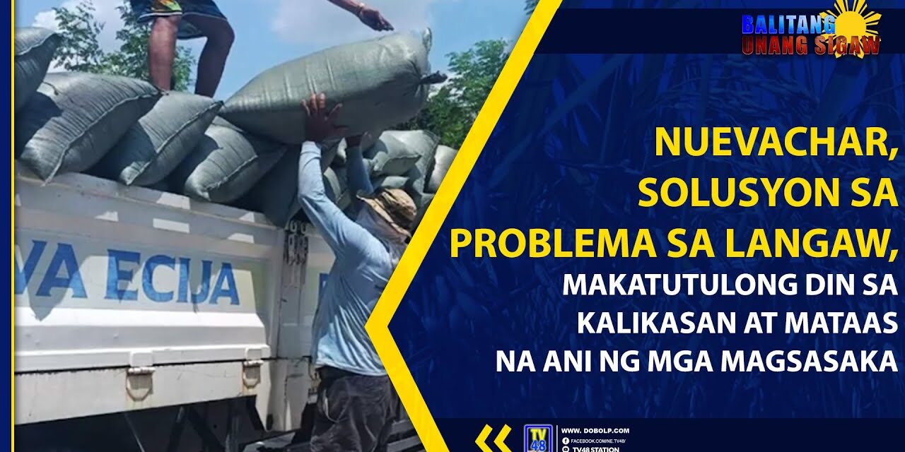 NUEVACHAR, SOLUSYON SA PROBLEMA SA LANGAW, MAKATUTULONG DIN SA KALIKASAN AT MATAAS NA ANI NG MGA MAGSASAKA