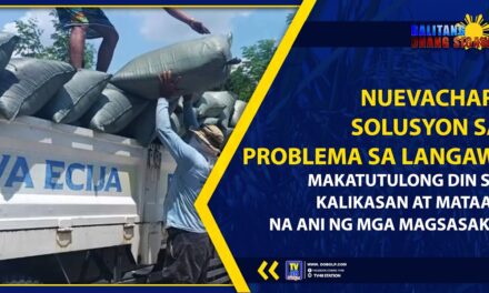 NUEVACHAR, SOLUSYON SA PROBLEMA SA LANGAW, MAKATUTULONG DIN SA KALIKASAN AT MATAAS NA ANI NG MGA MAGSASAKA
