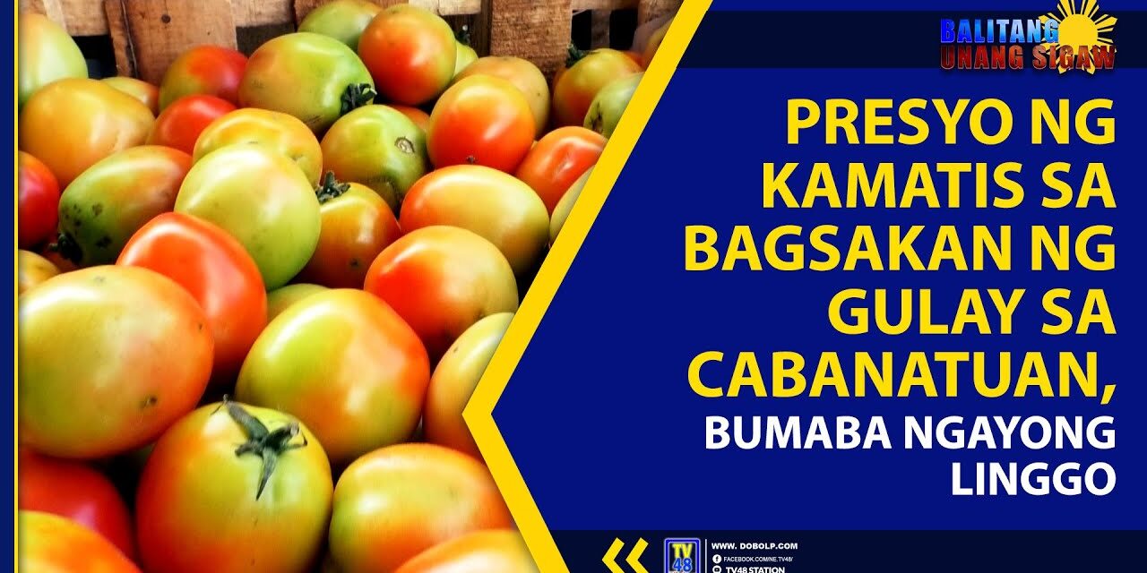 PRESYO NG KAMATIS SA BAGSAKAN NG GULAY SA CABANATUAN, BUMABA NGAYONG LINGGO