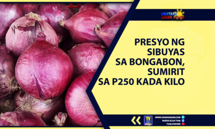 PRESYO NG SIBUYAS SA BONGABON, SUMIRIT SA P250 KADA KILO