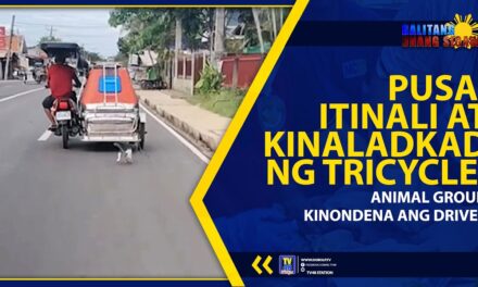 PUSA, ITINALI AT KINALADKAD NG TRICYCLE; ANIMAL GROUP, KINONDENA ANG DRIVER