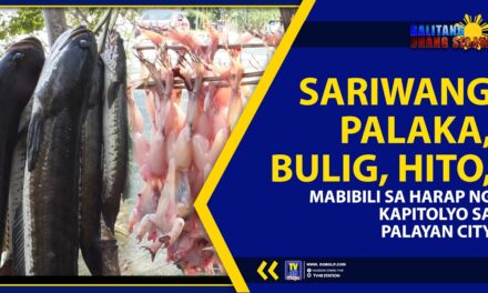 SARIWANG PALAKA, BULIG, HITO, MABIBILI SA HARAP NG KAPITOLYO SA PALAYAN CITY