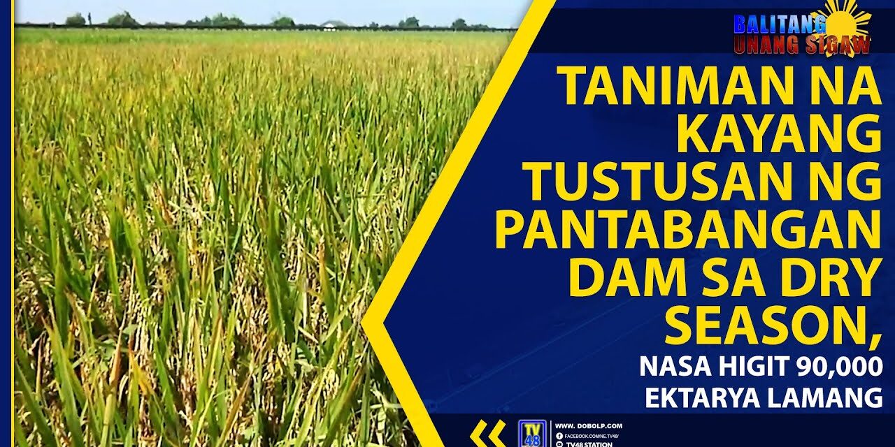 TANIMAN NA KAYANG TUSTUSAN NG PANTABANGAN DAM SA DRY SEASON, NASA HIGIT 90,000 EKTARYA LAMANG