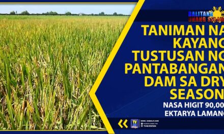 TANIMAN NA KAYANG TUSTUSAN NG PANTABANGAN DAM SA DRY SEASON, NASA HIGIT 90,000 EKTARYA LAMANG