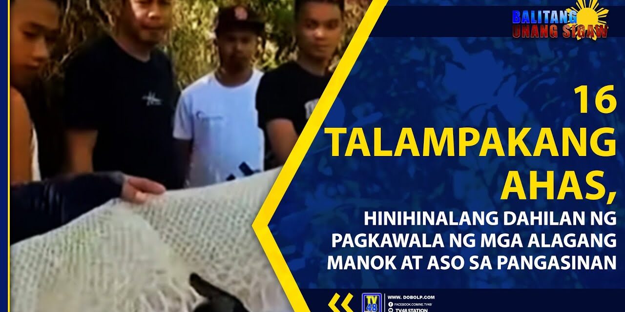 16 TALAMPAKANG AHAS, HINIHINALANG DAHILAN NG PAGKAWALA NG MGA ALAGANG MANOK AT ASO SA PANGASINAN