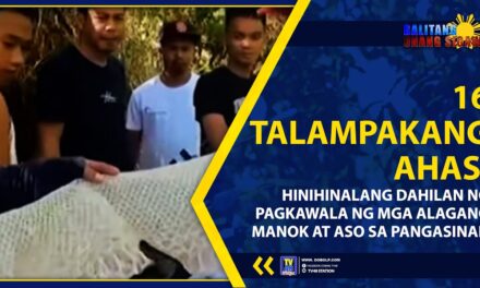 16 TALAMPAKANG AHAS, HINIHINALANG DAHILAN NG PAGKAWALA NG MGA ALAGANG MANOK AT ASO SA PANGASINAN