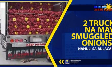 2 TRUCK NA MAY SMUGGLED ONIONS, NAHULI SA BULACAN