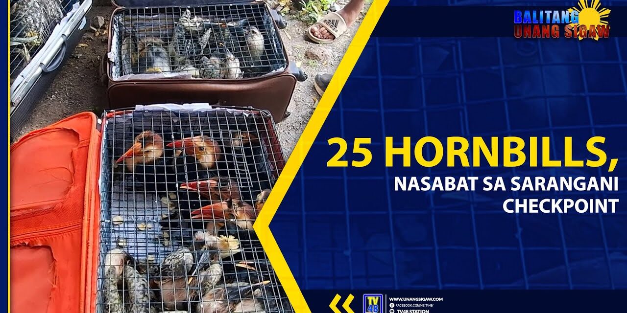 25 HORNBILLS, NASABAT SA SARANGANI CHECKPOINT