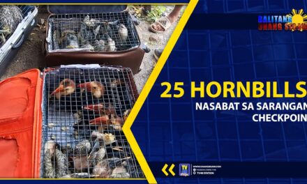 25 HORNBILLS, NASABAT SA SARANGANI CHECKPOINT