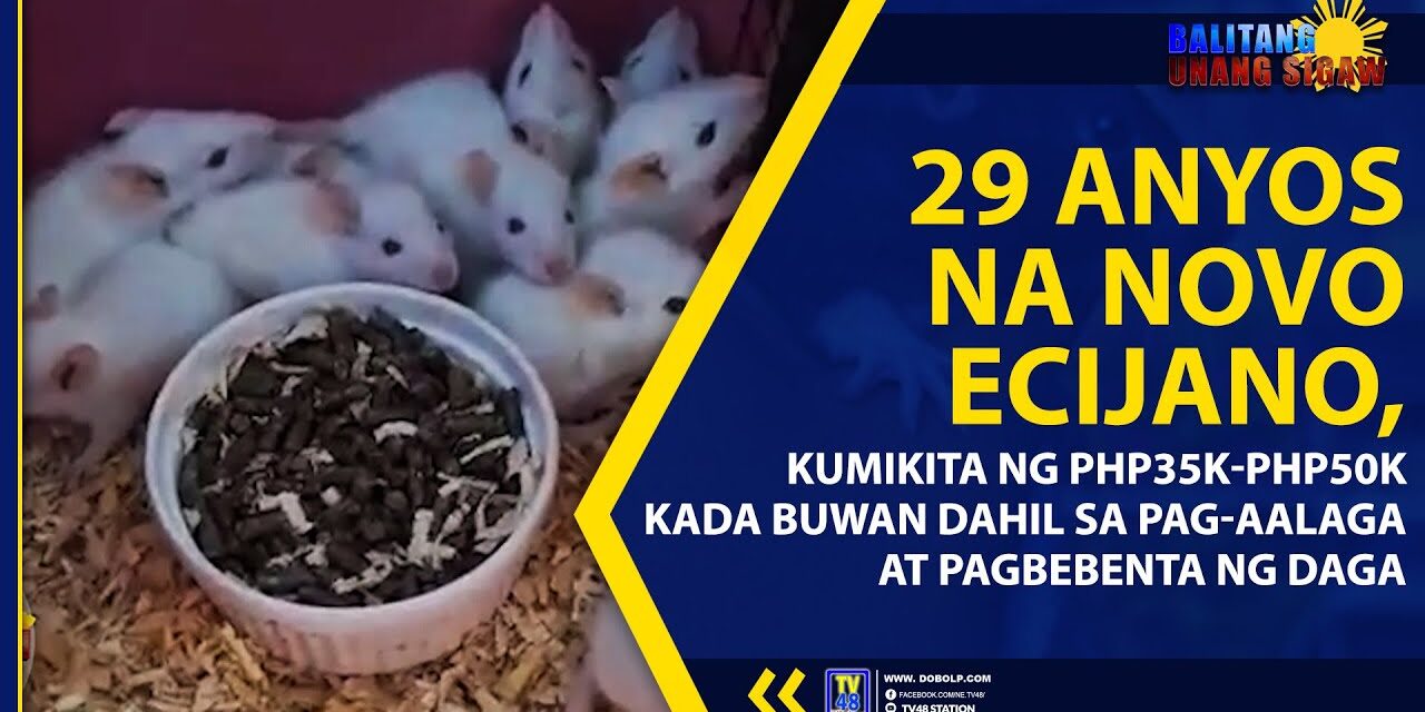 29 ANYOS NA NOVO ECIJANO, KUMIKITA NG PHP35K-PHP50K KADA BUWAN DAHIL SA PAG-AALAGA AT PAGBEBENTA NG DAGA