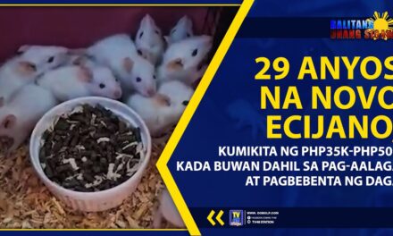 29 ANYOS NA NOVO ECIJANO, KUMIKITA NG PHP35K-PHP50K KADA BUWAN DAHIL SA PAG-AALAGA AT PAGBEBENTA NG DAGA