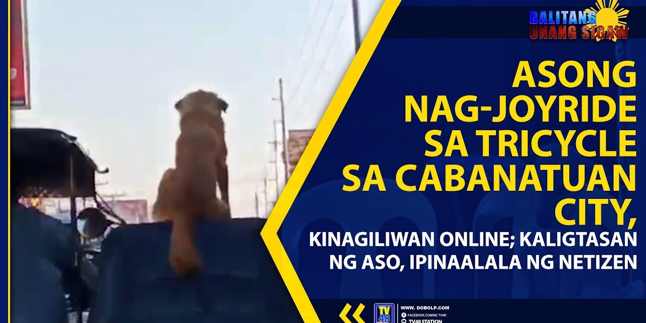 ASONG NAG-JOYRIDE SA TRICYCLE SA CABANATUAN CITY, KINAGILIWAN ONLINE; KALIGTASAN NG ASO, IPINAALALA NG NETIZEN