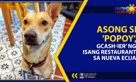 ASONG SI ‘POPOY’, ‘GCASH-IER’ NG ISANG RESTAURANT SA NUEVA ECIJA