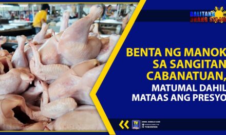 BENTA NG MANOK SA SANGITAN CABANATUAN, MATUMAL DAHIL MATAAS ANG PRESYO
