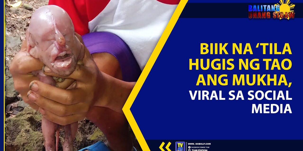 BIIK NA ‘TILA HUGIS NG TAO ANG MUKHA, VIRAL SA SOCIAL MEDIA