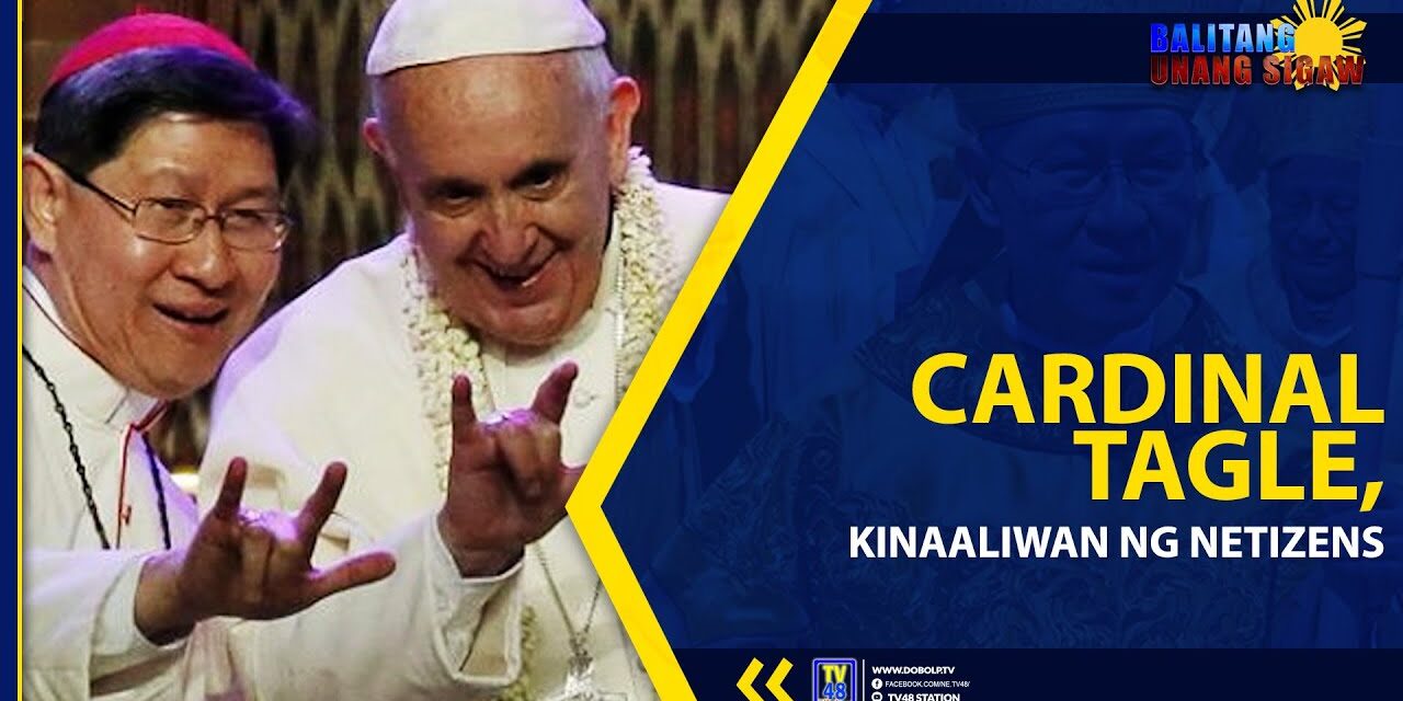 CARDINAL TAGLE, KINAALIWAN NG NETIZENS