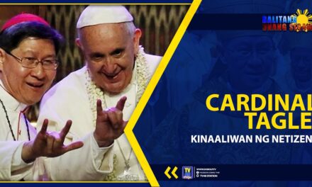 CARDINAL TAGLE, KINAALIWAN NG NETIZENS