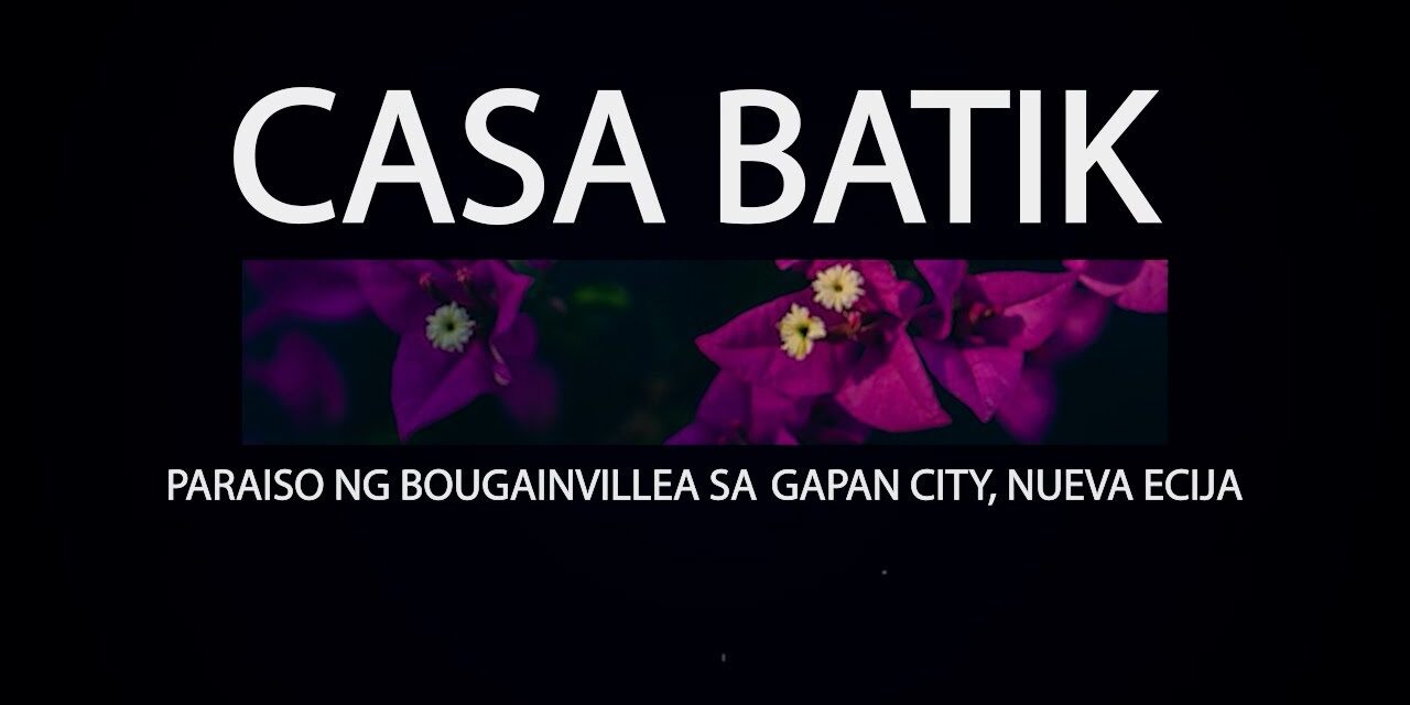 CASA BATIK: PARAISO NG BOUGAINVILLEA SA GAPAN CITY, NUEVA ECIJA