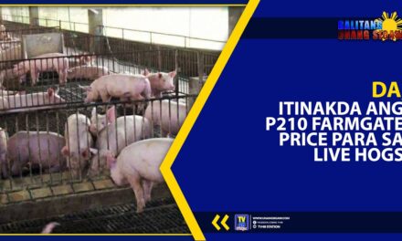 DA, ITINAKDA ANG P210 FARMGATE PRICE PARA SA LIVE HOGS