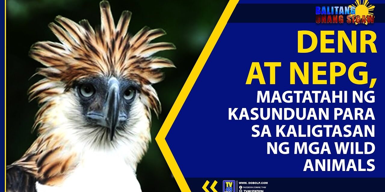 DENR AT NEPG, MAGTATAHI NG KASUNDUAN PARA SA KALIGTASAN NG MGA WILD ANIMALS