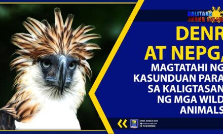 DENR AT NEPG, MAGTATAHI NG KASUNDUAN PARA SA KALIGTASAN NG MGA WILD ANIMALS
