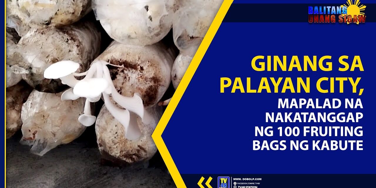 GINANG SA PALAYAN CITY, MAPALAD NA NAKATANGGAP NG 100 FRUITING BAGS NG KABUTE