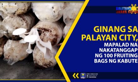 GINANG SA PALAYAN CITY, MAPALAD NA NAKATANGGAP NG 100 FRUITING BAGS NG KABUTE