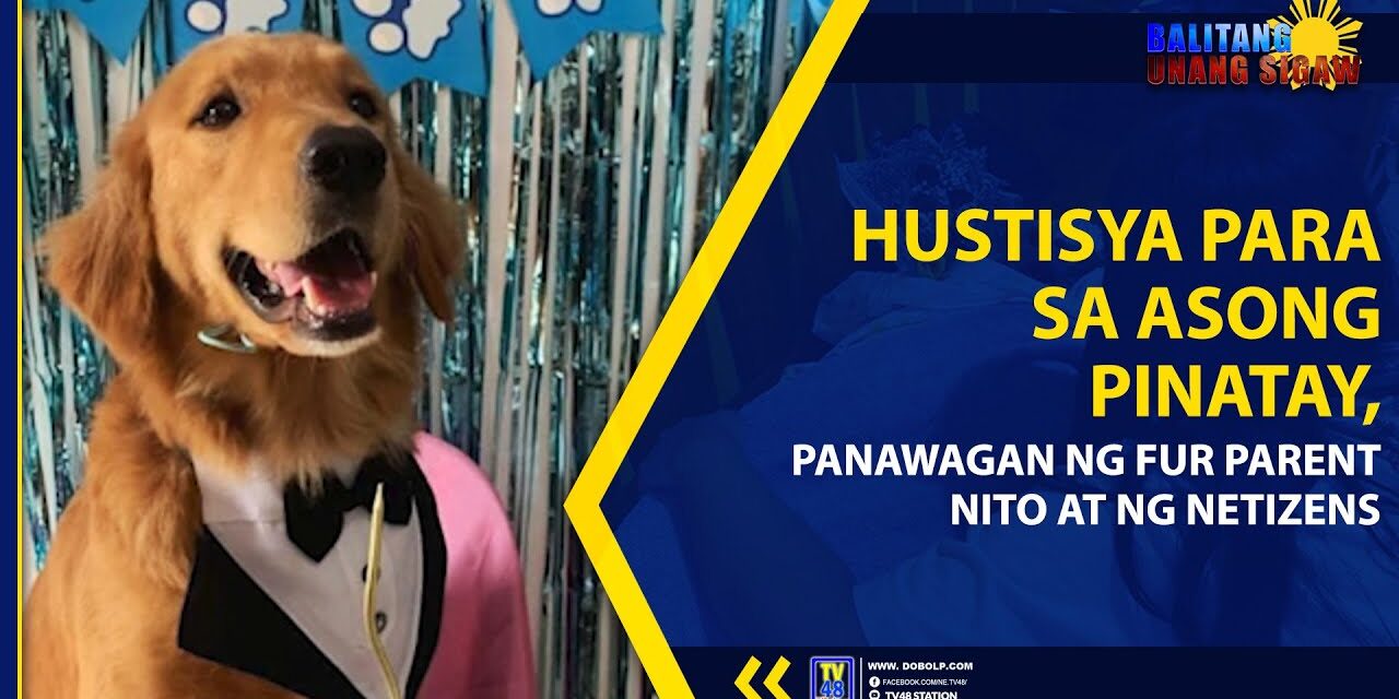 HUSTISYA PARA SA ASONG PINATAY, PANAWAGAN NG FUR PARENT NITO AT NG NETIZENS