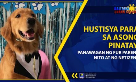 HUSTISYA PARA SA ASONG PINATAY, PANAWAGAN NG FUR PARENT NITO AT NG NETIZENS