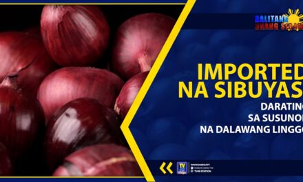 IMPORTED NA SIBUYAS, DARATING SA SUSUNOD NA DALAWANG LINGGO