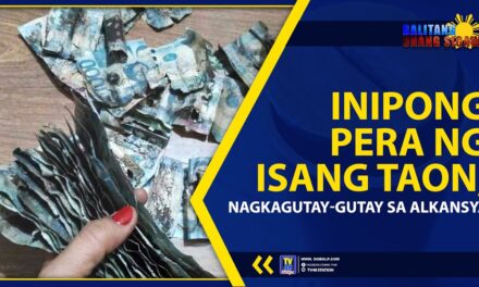 INIPONG PERA NG ISANG TAON, NAGKAGUTAY-GUTAY SA ALKANSYA