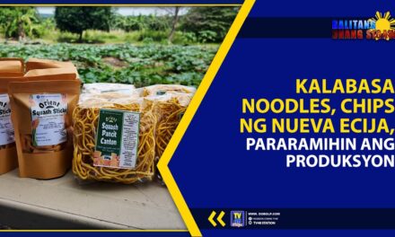 KALABASA NOODLES, CHIPS NG NUEVA ECIJA, PARARAMIHIN ANG PRODUKSYON