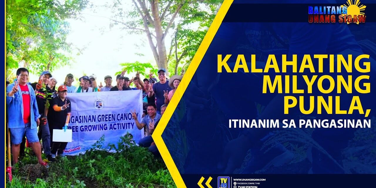 Kalahating Milyong Punla, Itinanim sa Pangasinan