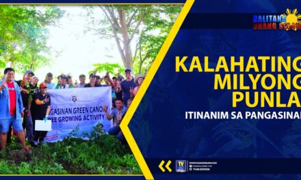 Kalahating Milyong Punla, Itinanim sa Pangasinan