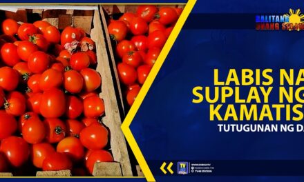 LABIS NA SUPLAY NG KAMATIS, TUTUGUNAN NG DA