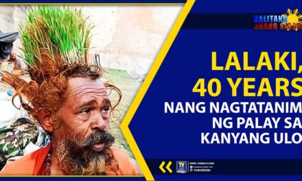 LALAKI, 40 YEARS NANG NAGTATANIM NG PALAY SA KANYANG ULO!
