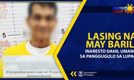 LASING NA MAY BARIL, INARESTO DAHIL UMANO SA PANGGUGULO SA LUPAO